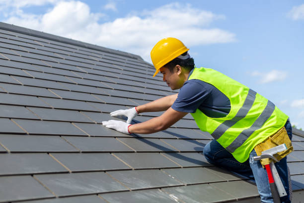 Best Roof Maintenance Services  in Rockwood, MI