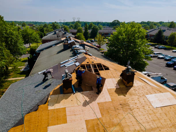 Best Roof Leak Repair  in Rockwood, MI