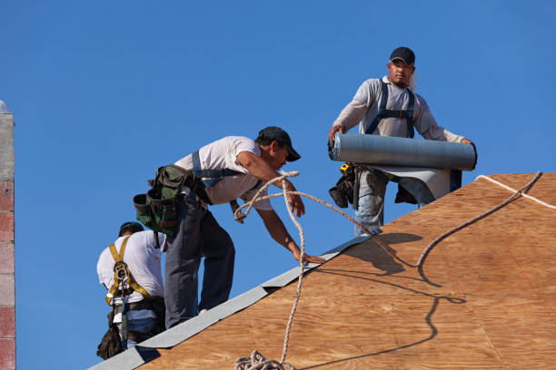 Best Sealant for Roof  in Rockwood, MI