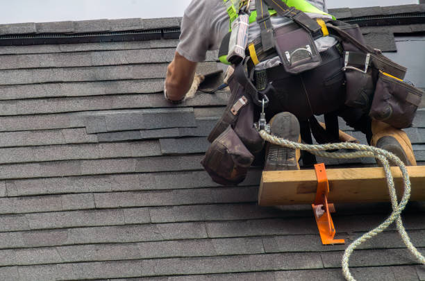 Best Storm Damage Roof Repair  in Rockwood, MI