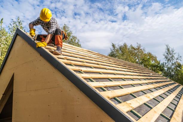 Best Roof Gutter Cleaning  in Rockwood, MI