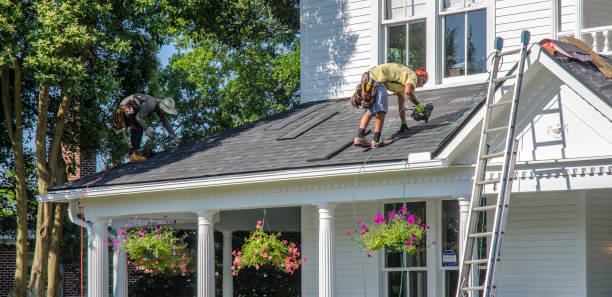 Best New Roof Installation  in Rockwood, MI