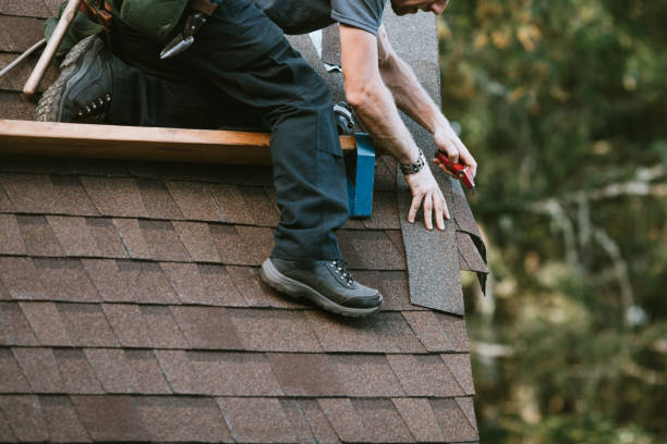 Best New Roof Installation  in Rockwood, MI